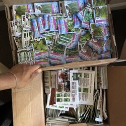 2 Full Boxes Of This Years Seeds For Planting 
