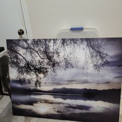 Large Picture