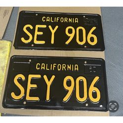 Black and Yellow Plates