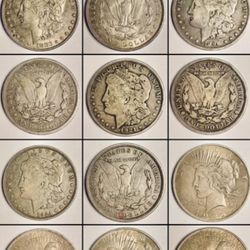 US Morgan Silver Dollar Rare Coins