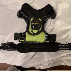 Dog Harness