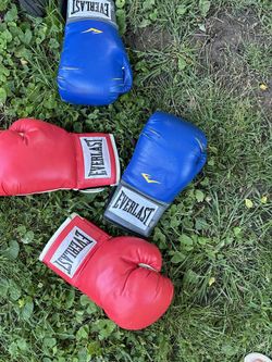 Everlast boxing gloves 