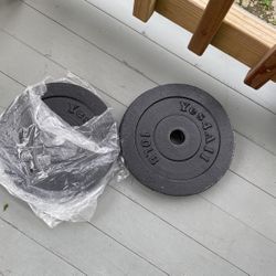 10lb Weight Lifting Plates 