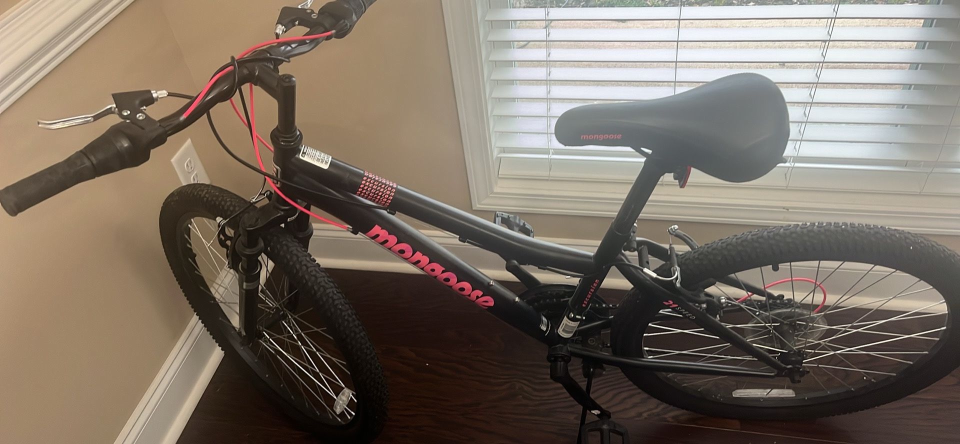 Mongoose 21 Speed Mountain Bike 24”
