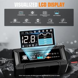 Eco worthy battery charger