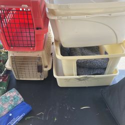 Pet