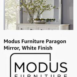 Lg. Mirror, MODUS FURNITURE,  Paragon Drs. Mirror 4NA483 New In Box