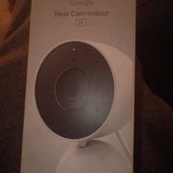 Google Nest Cam Indoor 2k 