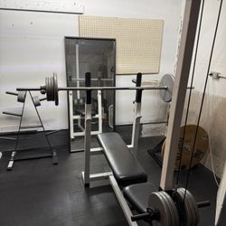 Gym Workout Bench With Weights
