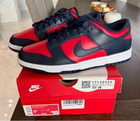 Nike Dunk Low Retro Size 9.5
