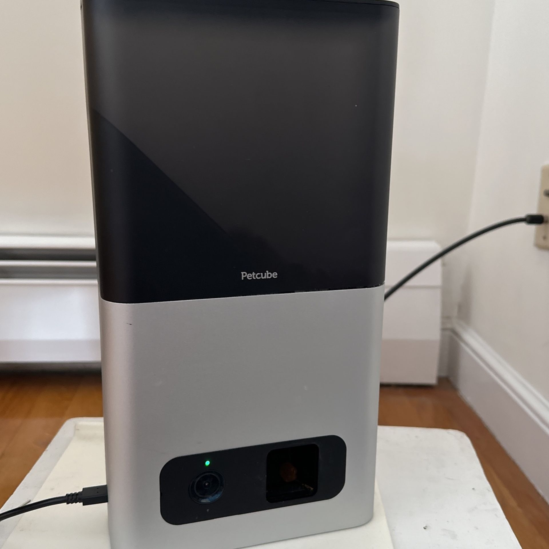 Petcube , $10