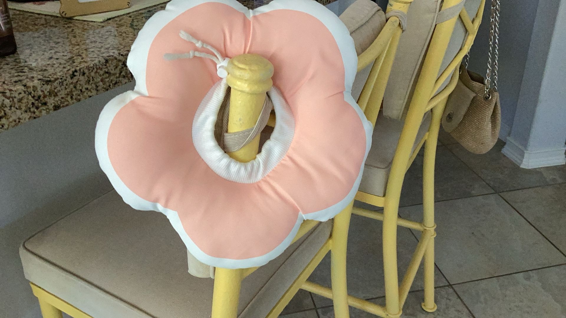 Adjustable Soft Medical Cone for dog or cat