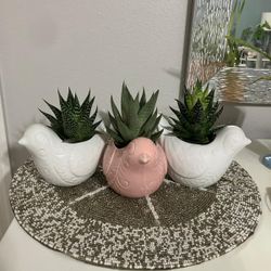 Bird Planters With Haworthia 🐦 