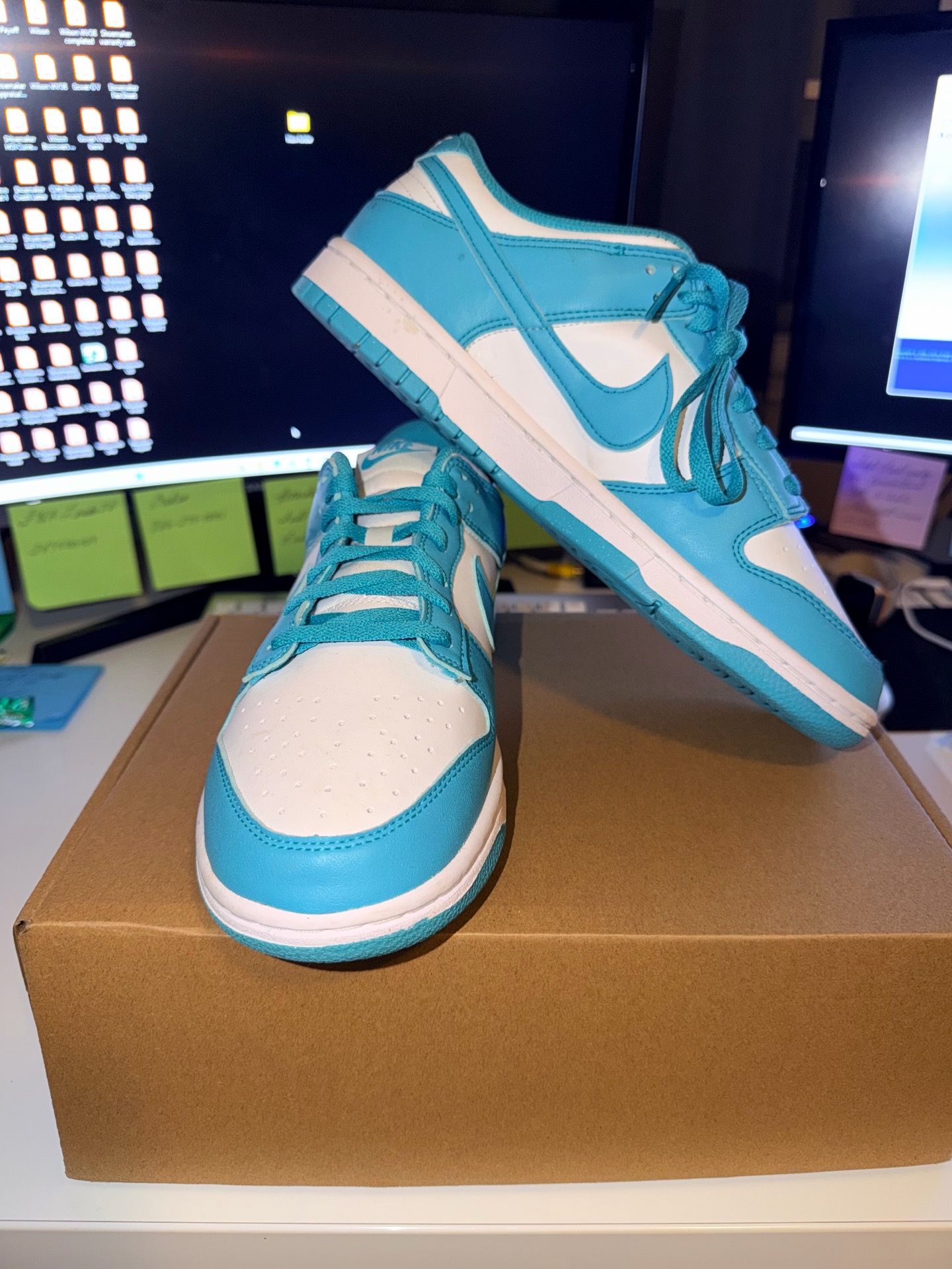 Nike Dunks - Teal