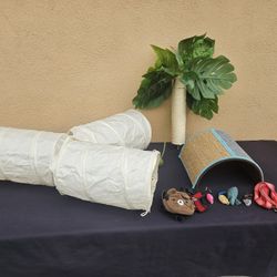 Cat Activity Bundle: Tunnels, Scratcher, Toys