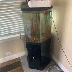 Fish tank And Pumps And Fish