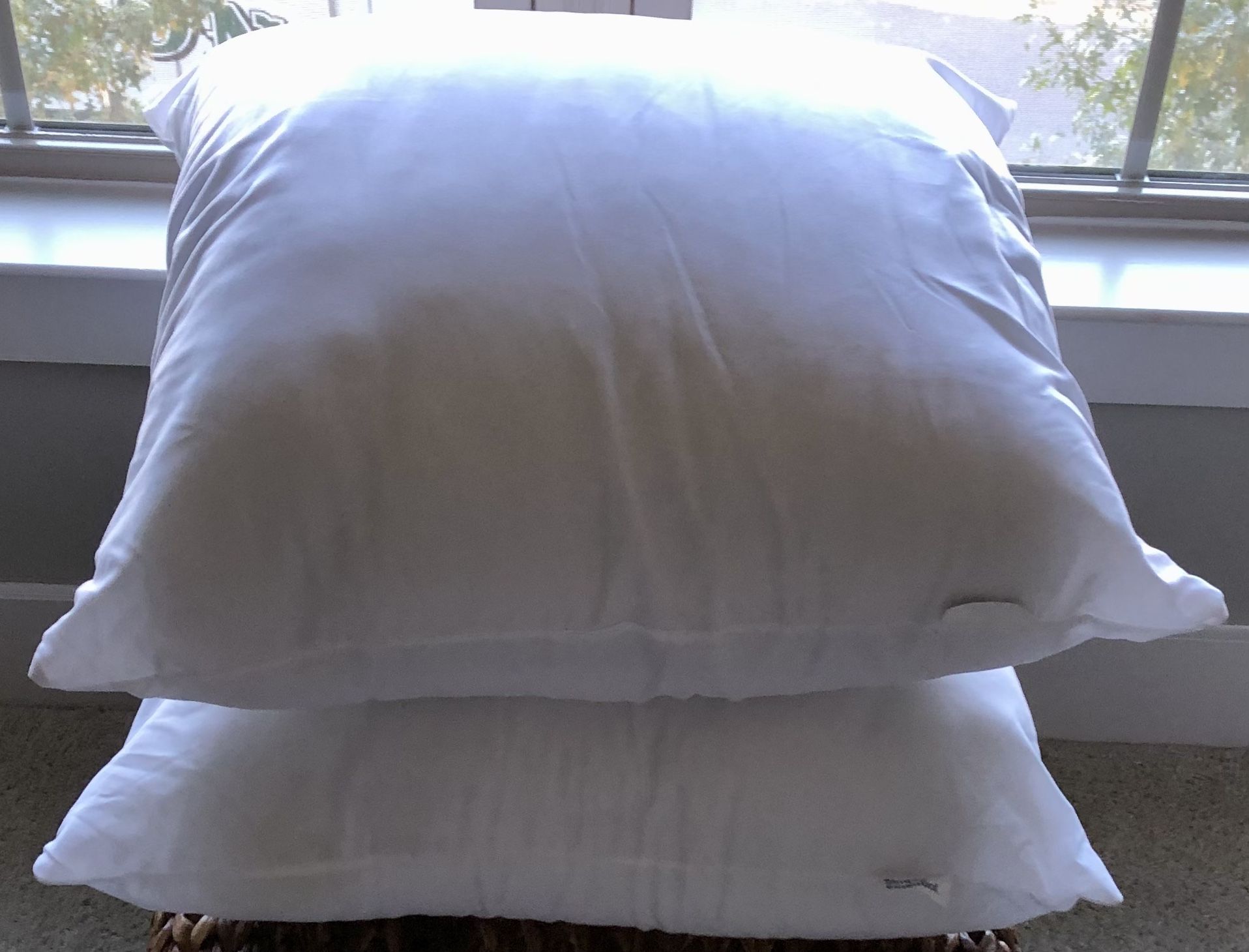 Set of Decorative Pillow Inserts (24” x 24”)