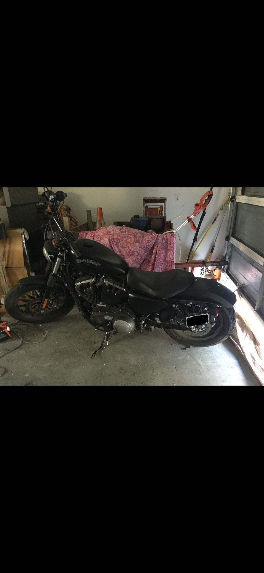 2015 Harley Davison 883 Iron