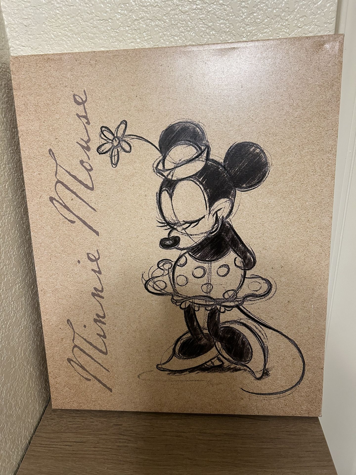 Disney Minnie And Mickey Mouse Pictures