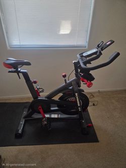 Schwinn IC4