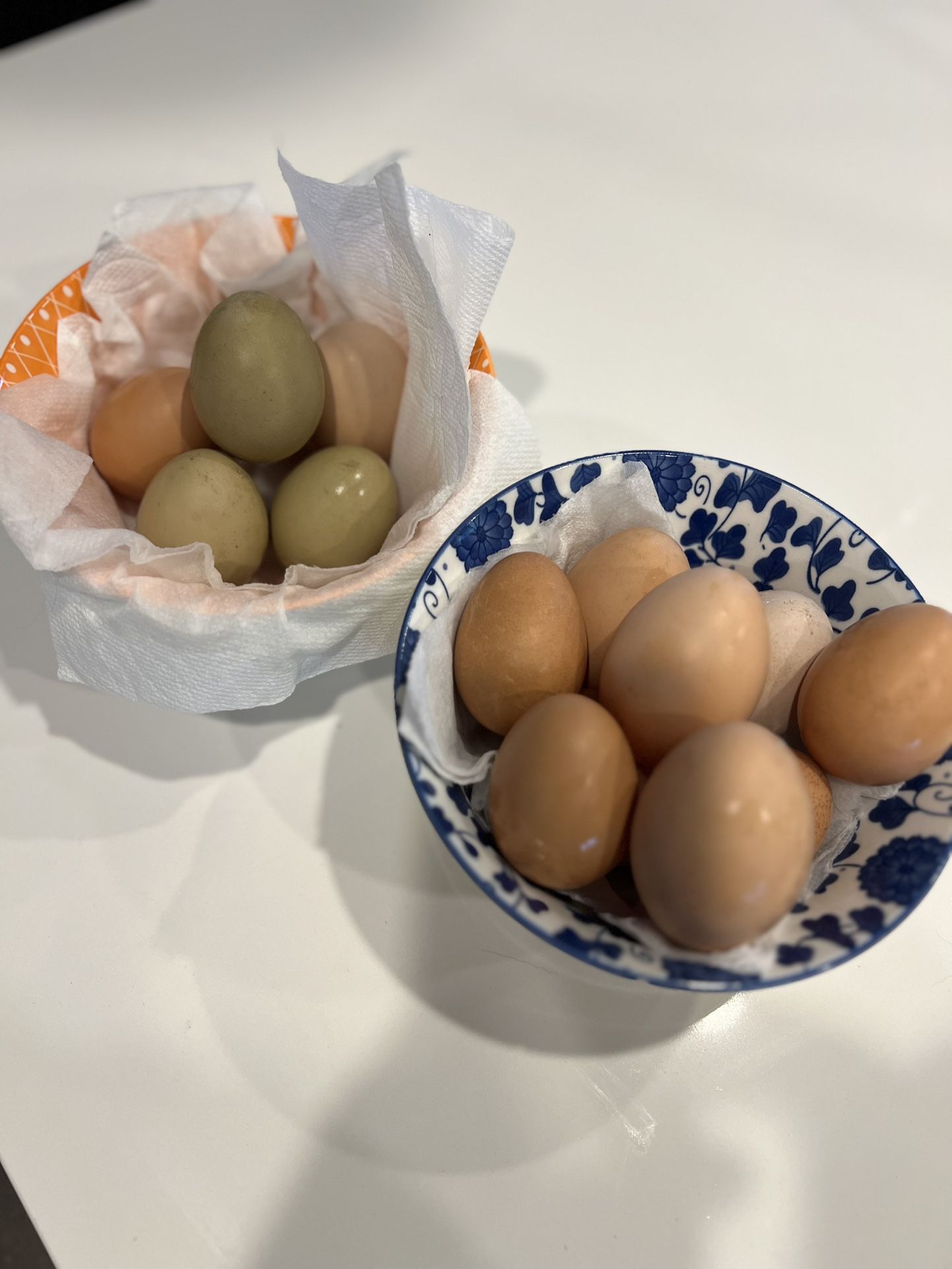 Eggs