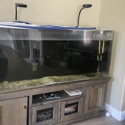 FREE Fish Tank/fx Five