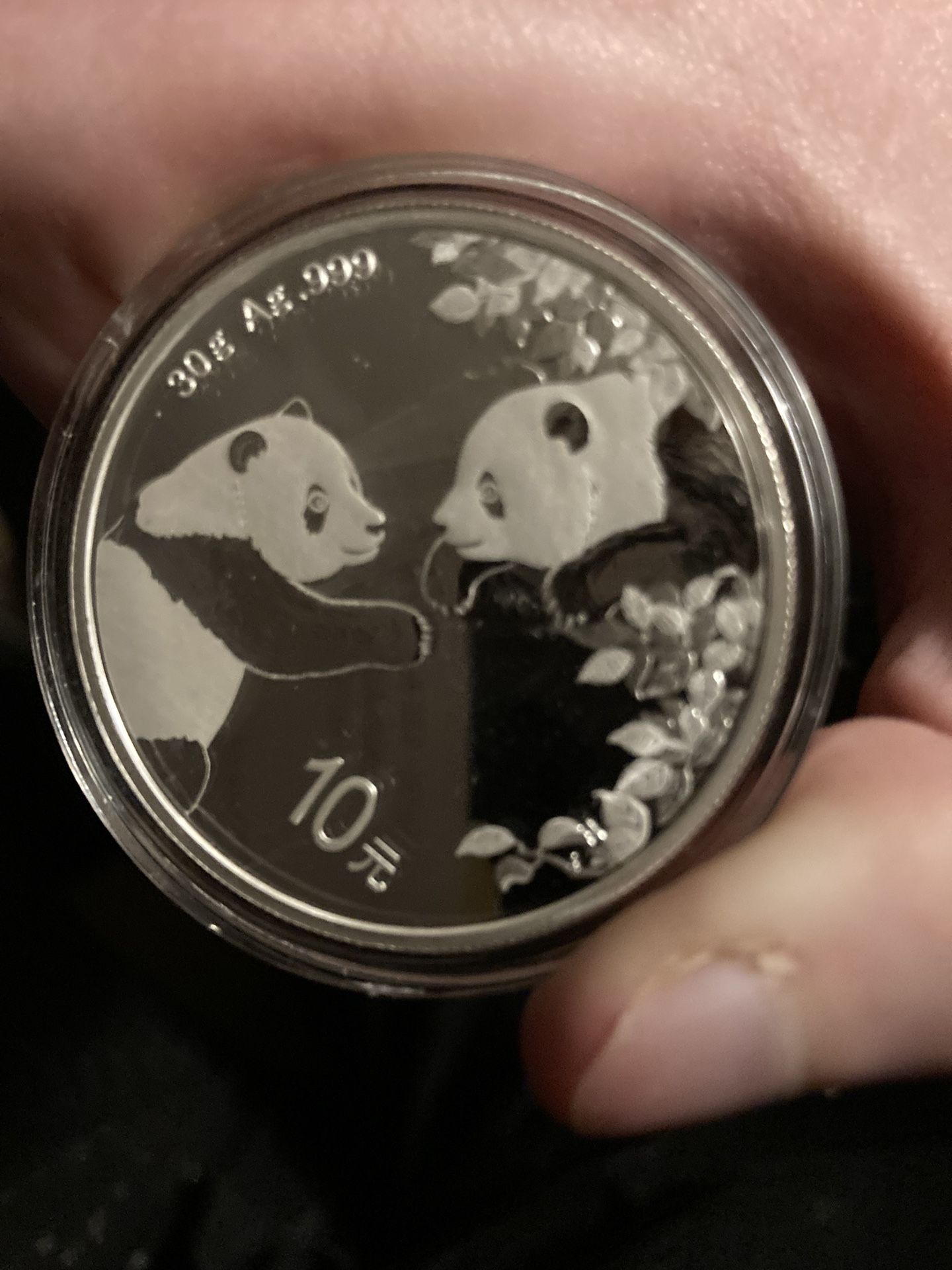 Silver Panda 30 Grams