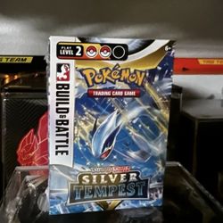 Silver Tempest Bulid & Battle 