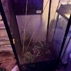 24,24,48 X-Large Reptile Terrarium