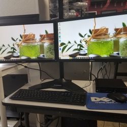  Dual screen Desktop Computers