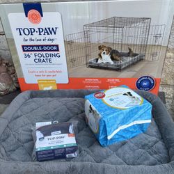 Dog Items