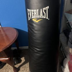 Everlast Power Core Punching Bag (black And Yellow )