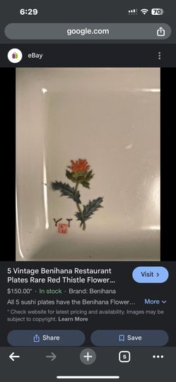 Set Of 2 Vintage Benihana Restaurant Plates Rare Red Thistle Flower Design Sushi Dish