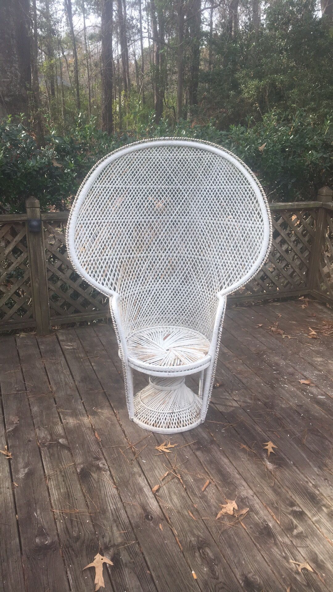 Peacock chair