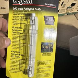 Regent 300 Watt Halogen