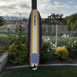 8’ Surf Board