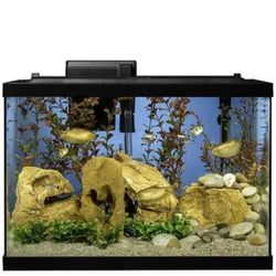 Tetra Aquarium 20 Gallon Fish Tank Kit, Includes LED Lighting and Decor

