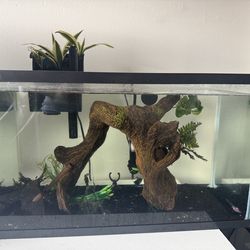 10 Gallon fish tank