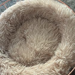 Pet Bed