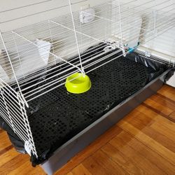 animal cage