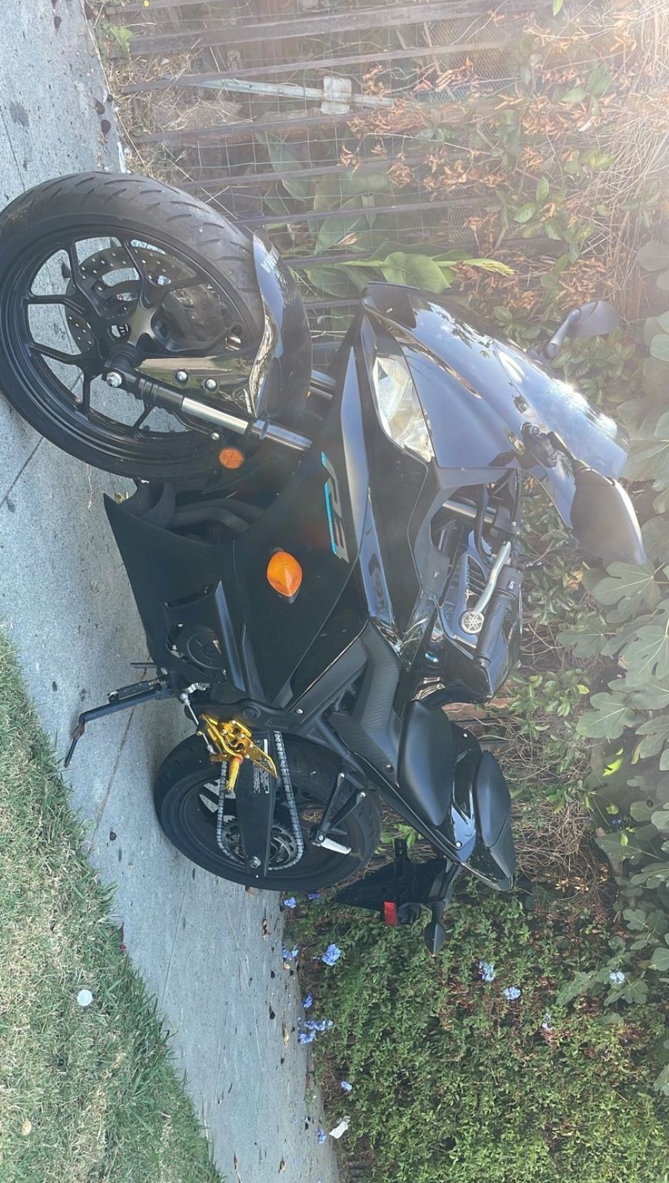 2023 Yamaha R3