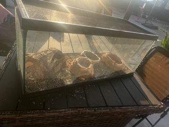 Lizard tank / cage / terrarium