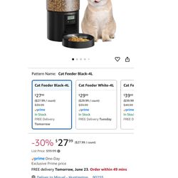 Auto Cat Feeder New 