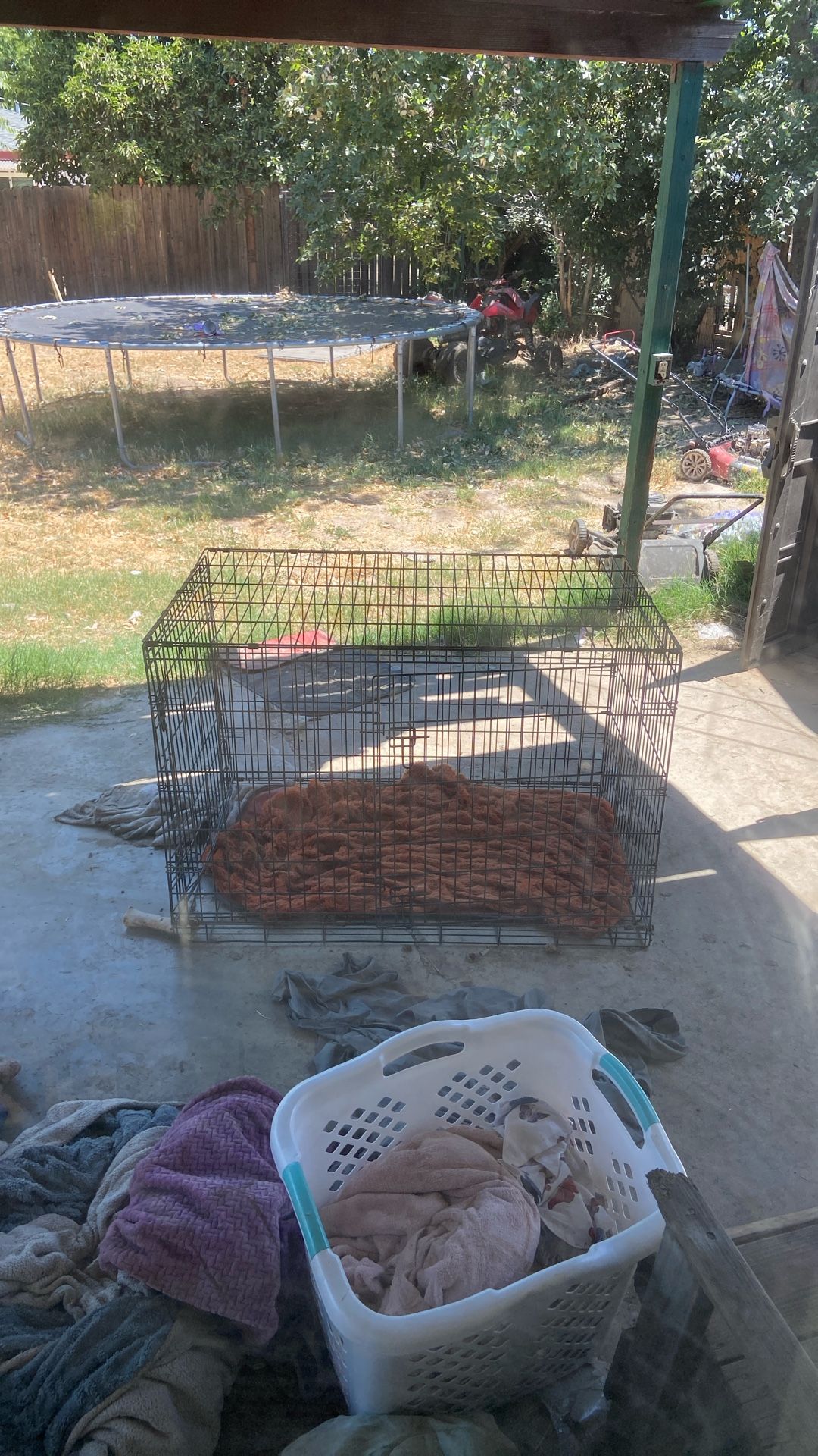 Dog Kennel