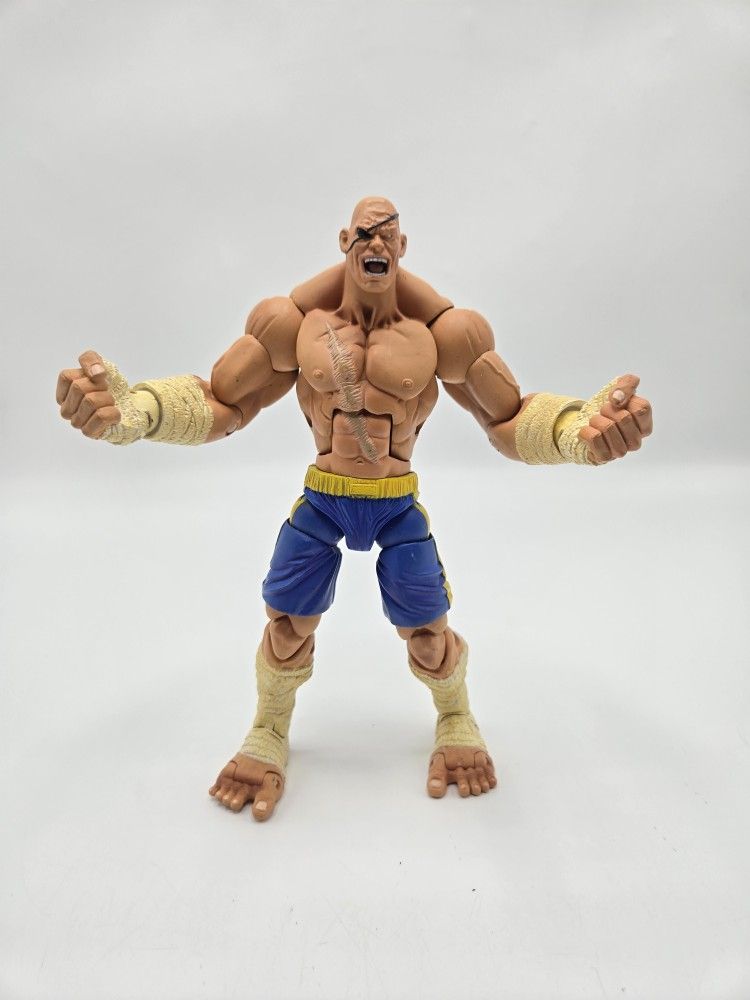 2004 SOTA Toys Sagat Capcom Street Fighter Round 1 Action Figure