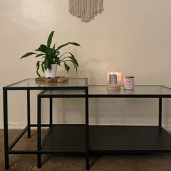 Double Glass Coffee Table 