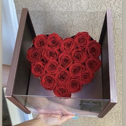 Eternity Roses 