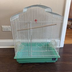 Bird Cage 