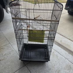Bird Cage