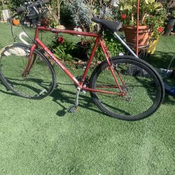 Bicicleta